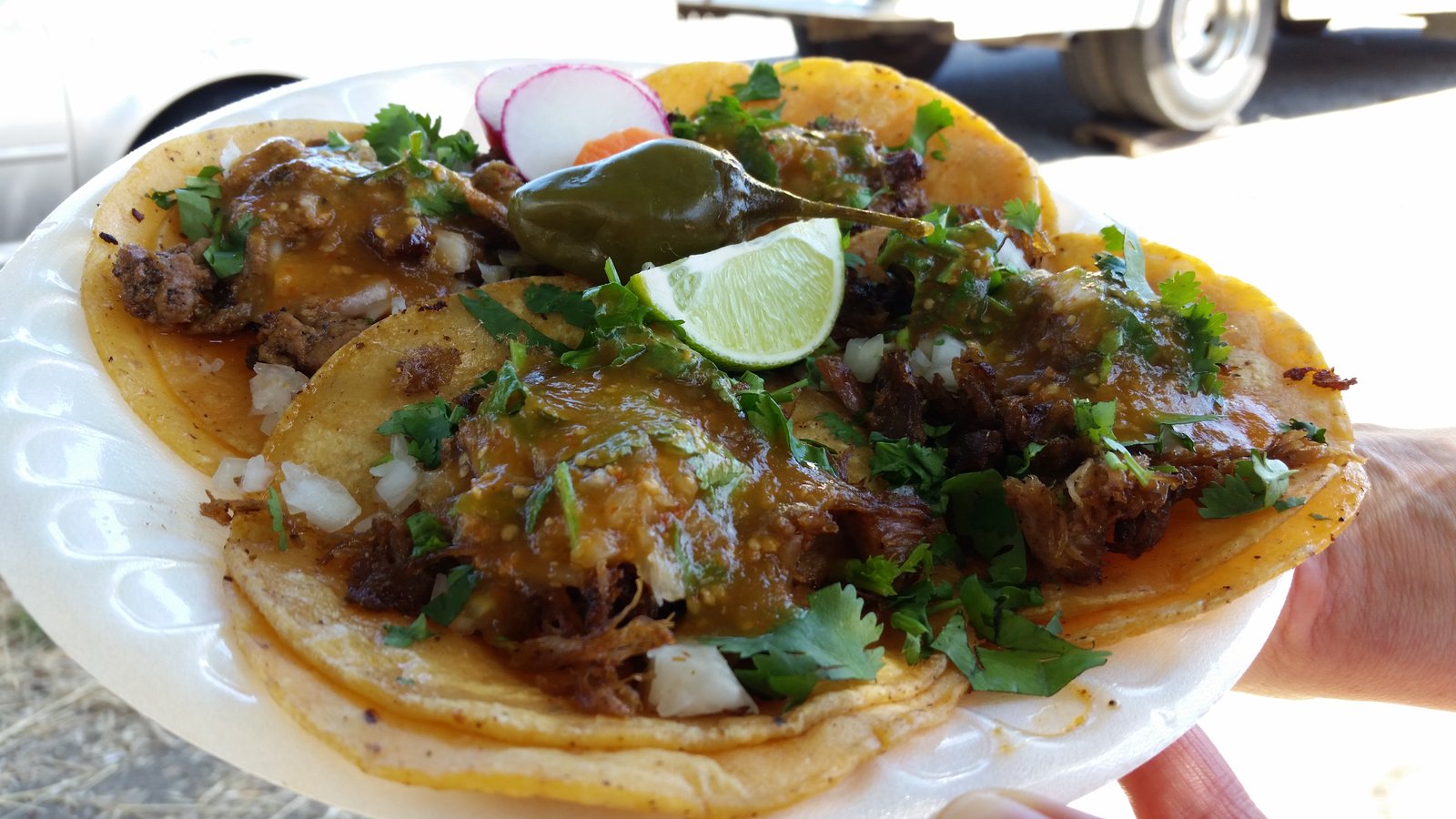 Types of Tacos